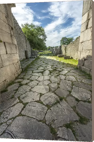 Sepino archaeological park, the ancient decumanus maximus