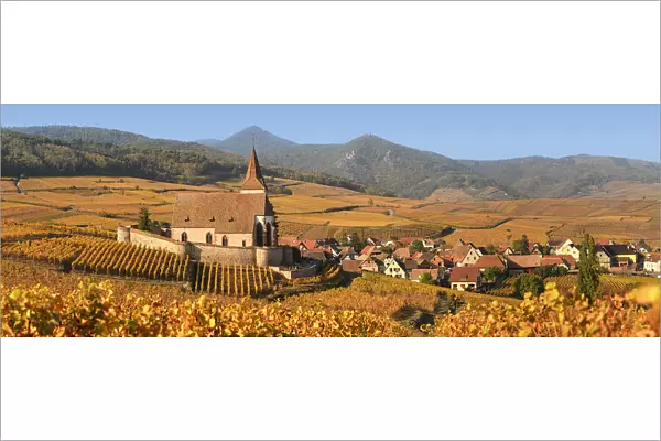 Fortified church of Saint Jacques, Hunawihr, Alsace, Alsatian Wine Route, Haut-Rhin