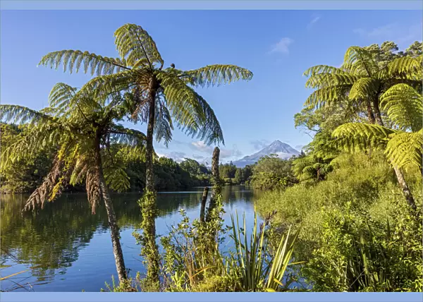 New Zealand, North Island, Lake Mangamahoe, view to Mount Taranaki