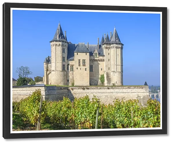 Saumur Castle, UNESCO World Heritage, Loire valley, Pays de la Loire, Maine-et-Loire, France