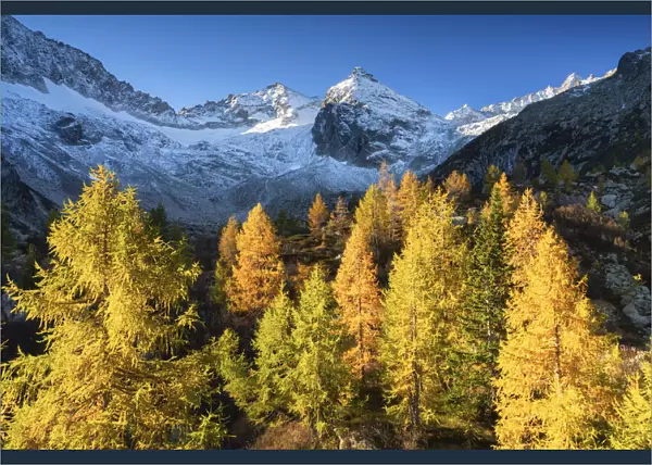 Autumn in Presena, Tonale pass in Trentino alto Adige, Italy