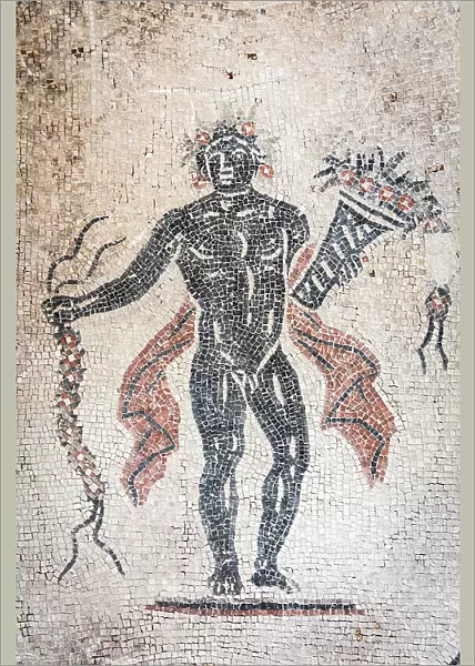 Italy, Umbria, Perugia, Spello, Villa of Mosaics, Mosaic representing the Spring with a cornucopia in the triclinium