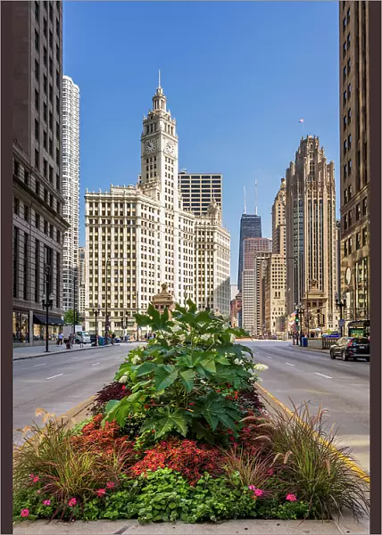 North Michigan Avenue (The Magnificent Mile), Chicago, Illinois, USA
