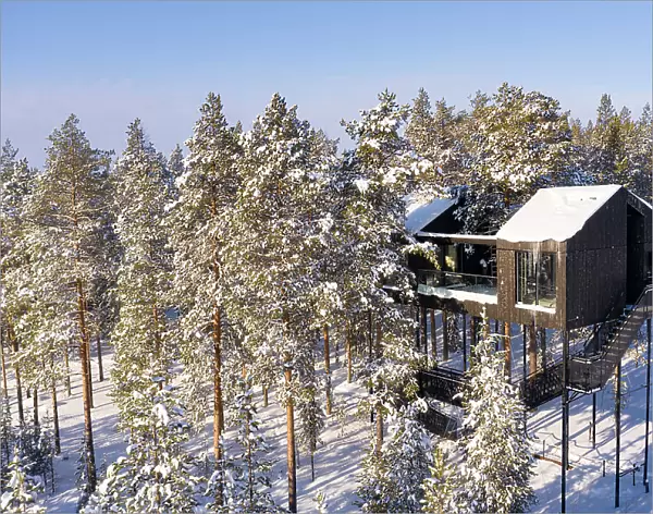 Suspended luxury wood suite built among treetops in the snow, Tree hotel, Harads, Lapland, Sweden