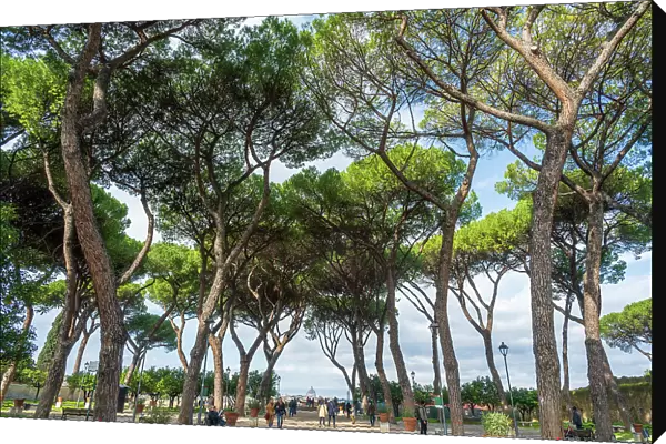 Europe, Italy, Rome. View through the Orange Garden (Giardino degli Aranci) on Aventine hill towards the cupola of San Pietro, Saint Peter's