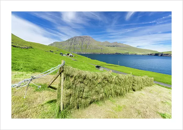 Sun-drying hay in the green fields above the ocean, Muli, Bordoy island, Faroe Islands, Denmark