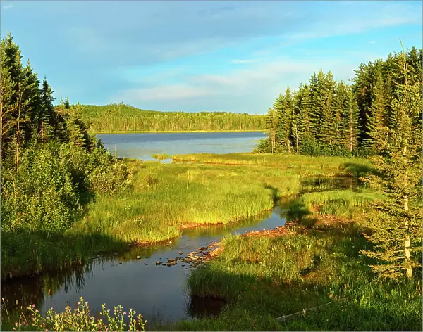 Marge Lake in the boreal forest, Duck Mountain Provincial park, Manitoba, Canada