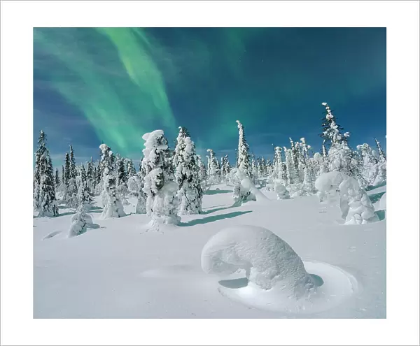 Northern Lights in the night sky over ice sculptures wrapped in snow, Lapland, Finland