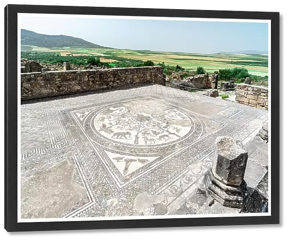 Ancient mosaic with african animals on floor of The House of Orpheus, Volubilis archeological site, Meknes, Morocco