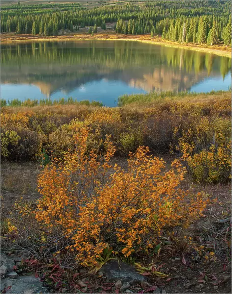USA, Rocky Mountains, Colorado, San Juan National Forest, Little Molas lake