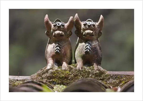 Peru, Clay bulls are common rooftop ornaments throughout Peru. Said to bring good luck
