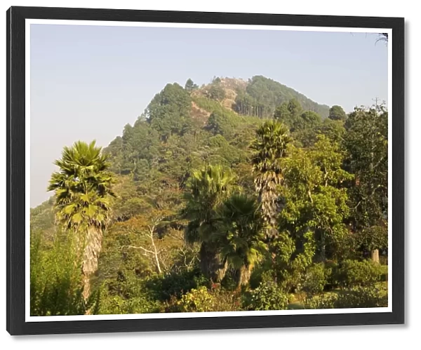 Malawi, Zomba. View from the exotic gardens of Ku Chawe Inn towards Zomba Mountain