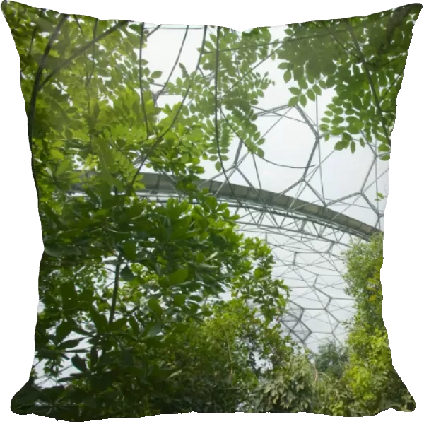 The tropical biome at the Eden Project in Cornwall UK