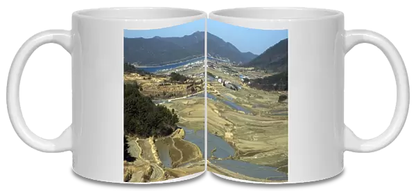 Rice fields dominate the valleys in South Koreas interior