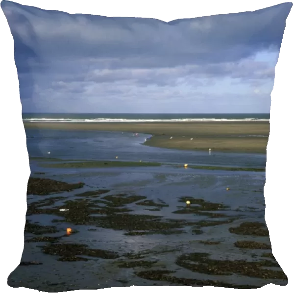Low tide, Newport Beach, Newport, Pembrokeshire, Wales, UK, Europe