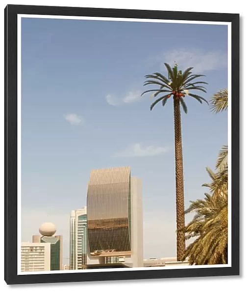 A mobile phone mast made to look like a palm tree in Dubai