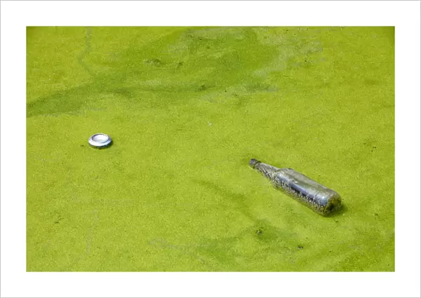 Rubbish thrown into a duckweed covered canal in Warrington, Lancashire, UK