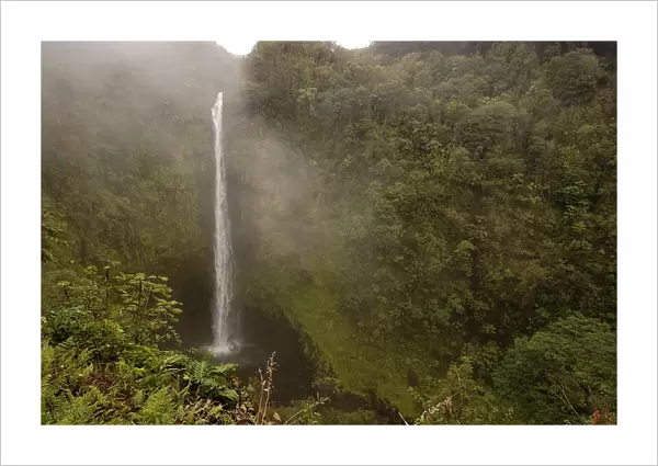 Akaka Falls, Big Island, Hawaii. (rr)
