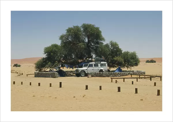 10007410. NAMIBIA Sesriem Tourists camping under tree in the desert