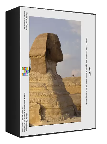 10024559. EGYPT Cairo Area Giza The Sphinx in profile camel on hill in background