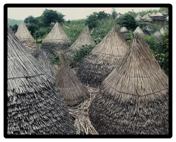 20036135. CAMEROON Oujila Village with typical conical shaped thatched huts