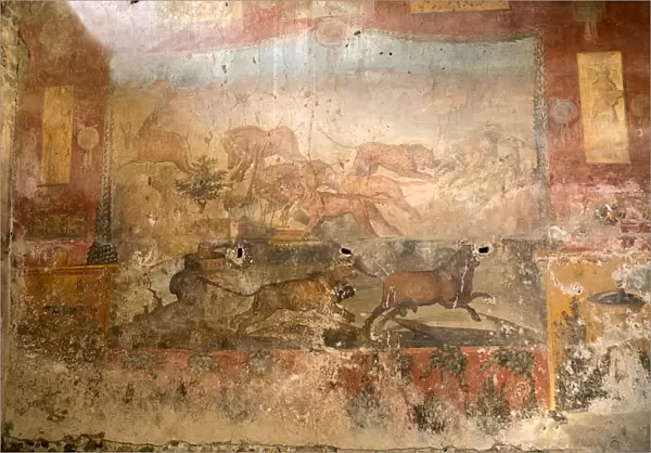 Main fresco in the House of the Ceii