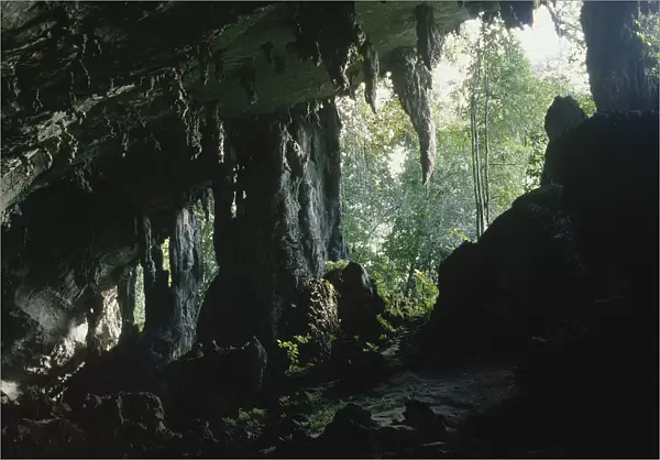 10001484. MALAYSIA Borneo Kalimantan Niah Caves interior looking out towards the jungle