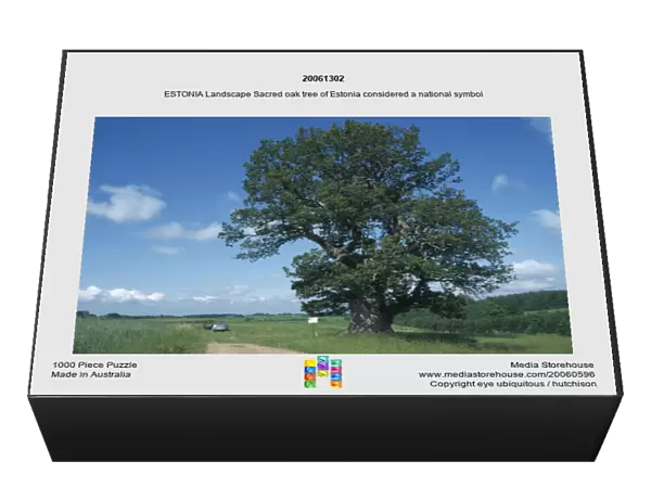 20061302. ESTONIA Landscape Sacred oak tree of Estonia considered a national symbol