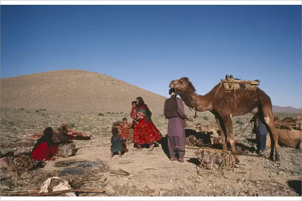 20047980. AFGHANISTAN Nomadic LIfestyle Nomad family with camel preparing to move