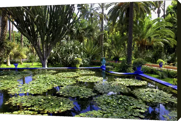 20038673. MOROCCO Marrakech Majorelle Jardins. View over lily pond with bright blue border