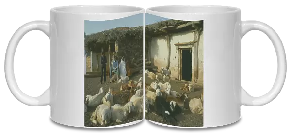 20070823. ERITREA Seraye Province Sheep farmer