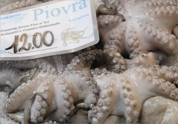 Italy, Veneto, Venice, octopus, Rialto fish market