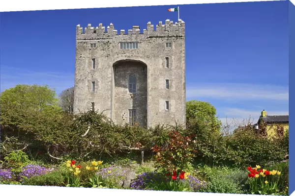 Ireland, County Clare, Bunratty Castle