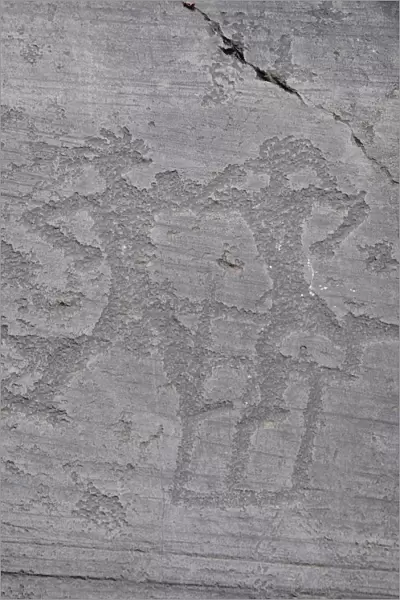 Italy, Lombardy, Valcamonica, Foppi di Nadro, 1000BC rock carvings depicting battles