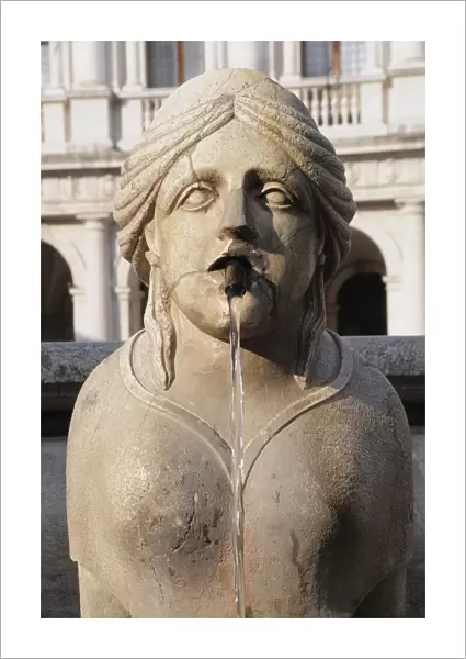 Italy, Lombardy, Bergamo, foutain detail, Fontana Contarini, Piazza Vecchia