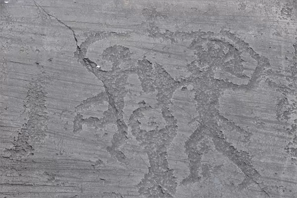 Italy, Lombardy, Valcamonica, Foppi di Nadro, 1000BC rock carvings depicting battles
