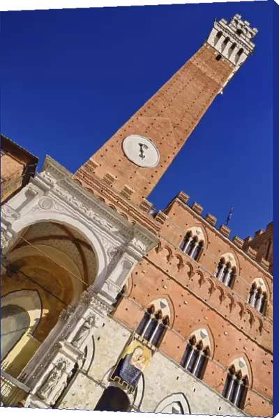 Italy, Tuscany, Siena, Angular view of the Torre del Mangia in Piazza del Campo