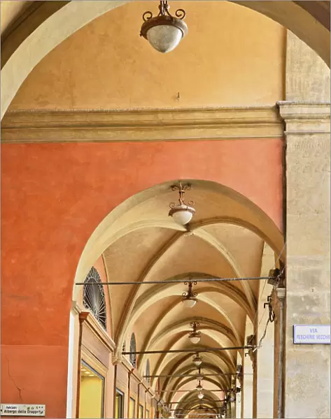 Italy, Emilia Romagna, Bologna, One of the citys many arcades
