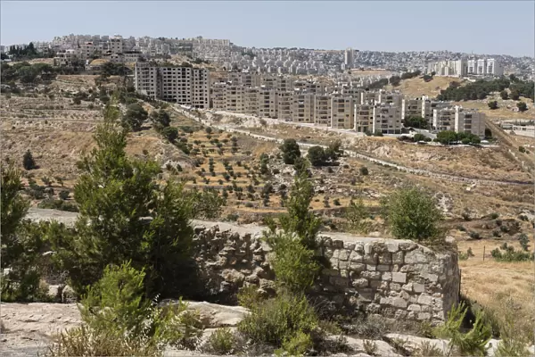 The traditional site of the fields of the shepards flocks in the hills near Bethlehem