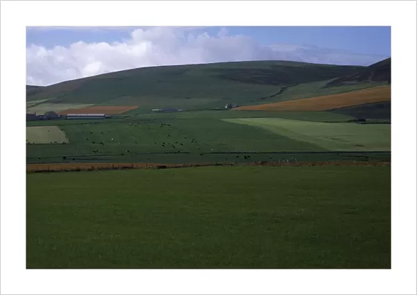 SCOTLAND, Orkney Island, Agriculture Agricultural landscape showing field patterns
