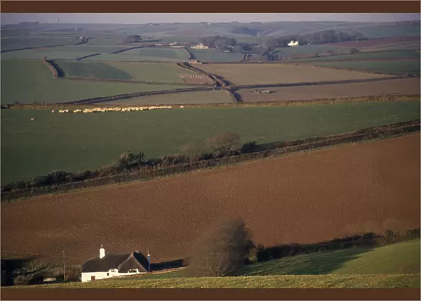 ENGLAND, Devon, Agriculture Agricultural landscape and field patterns with white