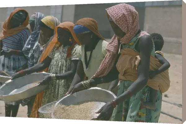 20073129. SUDAN Agriculture Nigerian women winnowing rice