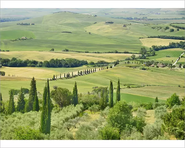 Italy, Tuscany, Val D Orcia, Pienza, View of surrounding Tuscan countryside from its walls with cypress trees olive groves and wheatfields