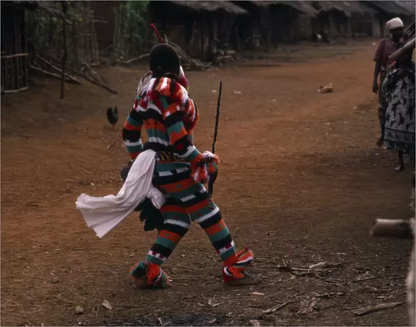 CAMEROON, South West, Rumpi Hills Masked Ju-ju man wearing striped costume taking part