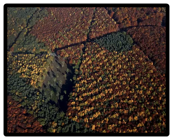 An aerial view shows a mixed forest on a sunny autumn day in Recklinghausen