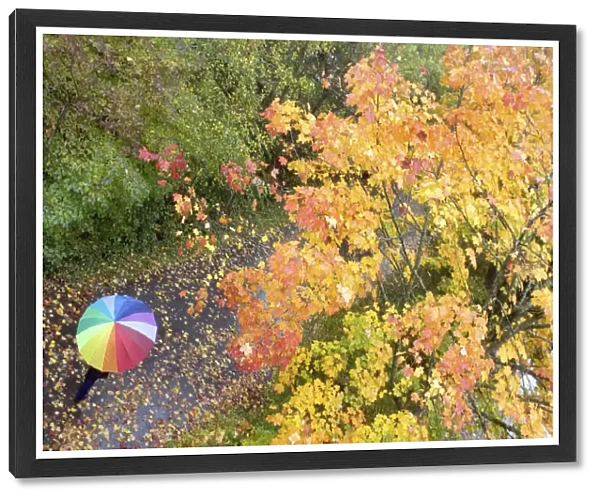 A person walks in a park on a rainy autumn day in the southern German city of Lindau
