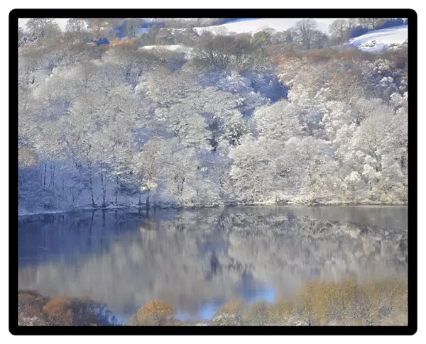 Reflections of snow covered trees are seen in a lake near Sutton Bank