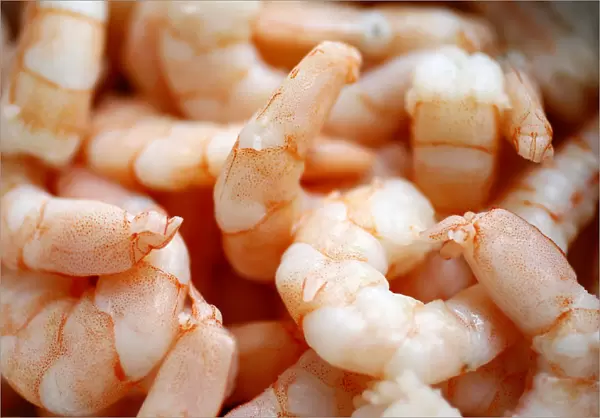 A bowl with cooked shrimp is seen in a kitchen in Frankfurt