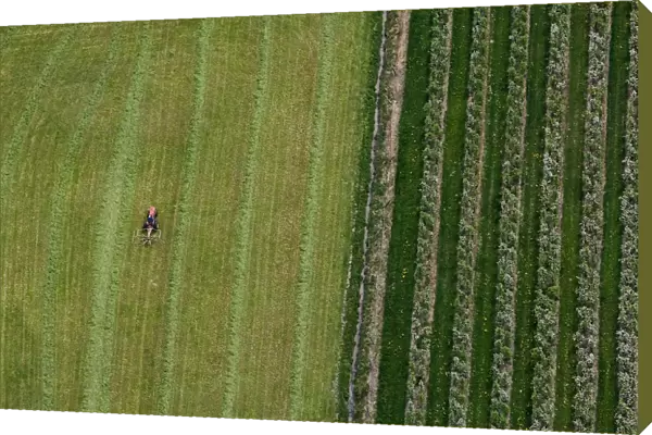 A farmer works on a field in Friedrichshafen