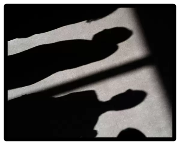 Shadows of people are cast on the carpet of the United Nations Security Council before